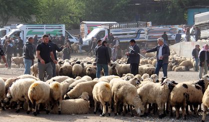 Maliyetler nedeniyle vatandaşlar küçükbaş kurbanlıklara yöneliyor