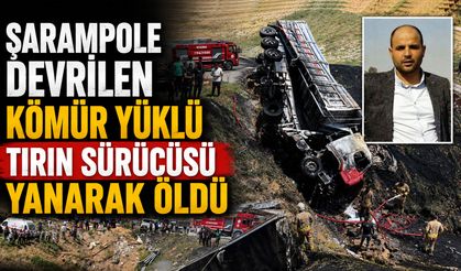 Şarampole Devrilen Kömür Yüklü Tırın Sürücüsü Yanarak Öldü