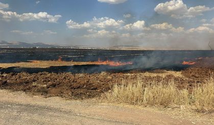 Mardin'de 8 noktada yangın: Yüzlerce dönüm alan zarar gördü