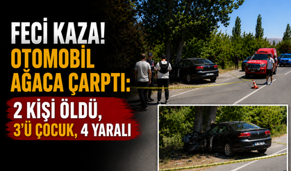 Otomobil Ağaca Çarptı: 2 Kişi Öldü, 3'ü Çocuk, 4 Yaralı