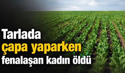Diyarbakır'da tarlada çapa yaparken fenalaşan kadın öldü