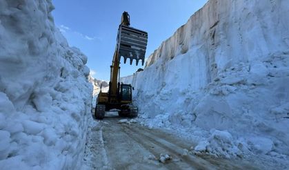 Hakkari'de temmuzda 8 metrelik kar tünelleri: İş makinesi kayboldu