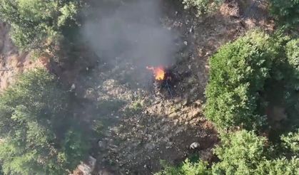 Diyarbakır’da operasyon: 247 bin 145 kök kenevir ve skunk imha edildi