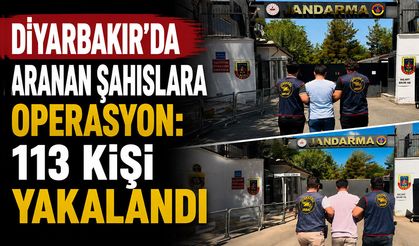 Diyarbakır’da aranan şahıslara operasyon: 113 kişi yakalandı