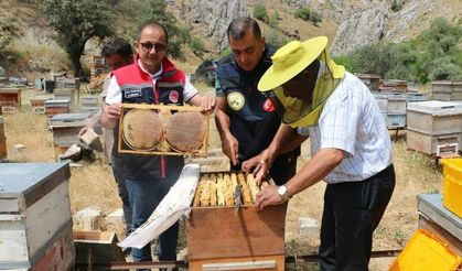 Erzincan'da bu yıl bin 500 ton bal bekleniyor