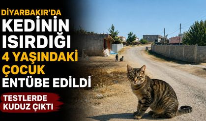 Diyarbakır’da kedinin ısırdığı 4 yaşındaki çocuk entübe edildi: Kuduz testi pozitif çıktı