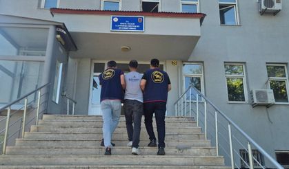Bingöl'de 5 bin 176 kök kenevir ele geçirildi