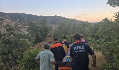 Palamut toplarken kayboldu: Ormanlık alanda bulundu