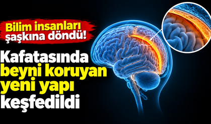 Bilim insanları şaşkına döndü! Kafatasında beyni koruyan yeni yapı keşfedildi