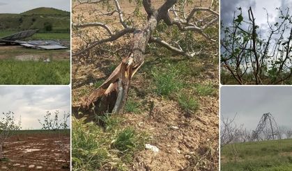 Bugün dışarı çıkacaklar dikkat! Fırtına bekleniyor