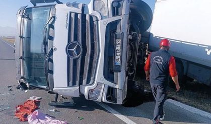 Iğdır'da yola çıkan eşek kazaya neden oldu: Kamyon kontrolden çıktı, 2 yaralı