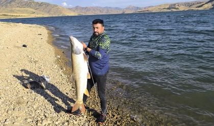 Keban Baraj Gölü'nde 30 kiloluk dev turna yakalandı