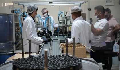 Muş'un tescilli lalesi parfüm oluyor! Yeni ürün için çalışmalar başladı