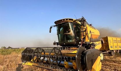 Tarlalar için yeni umut! Soğuklara dayanıklı buğday PARLA