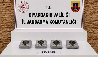 Diyarbakır'da 57 Bin Kök Kenevir Ele Geçirildi!