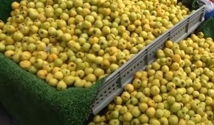 200 TL ile sadece bir avuç alınıyor! Sonbaharın meyvesi cep yakıyor