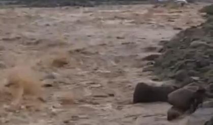 Diyarbakır'da gece saatlerinde korkutan manzara! 2 köprü yıkıldı