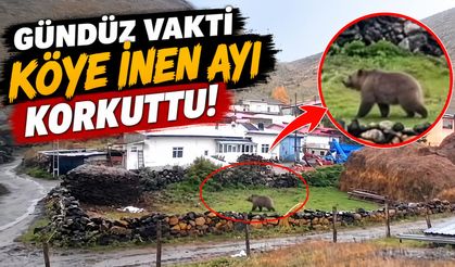 Gündüz Vakti Köye İnen Ayı Korkuttu!