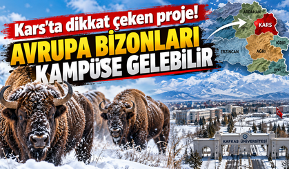 Kars'ta dikkat çeken proje! Avrupa bizonları kampüse gelebilir