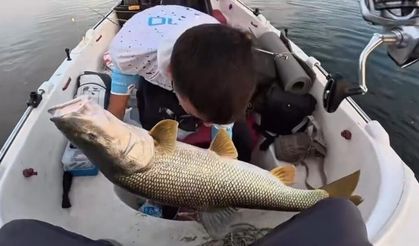 Oltaya dev turna takıldı: Yaklaşık 30 kilo