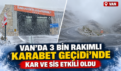 Van'da 3 bin rakımlı Karabet Geçidi’nde kar ve sis etkili oldu