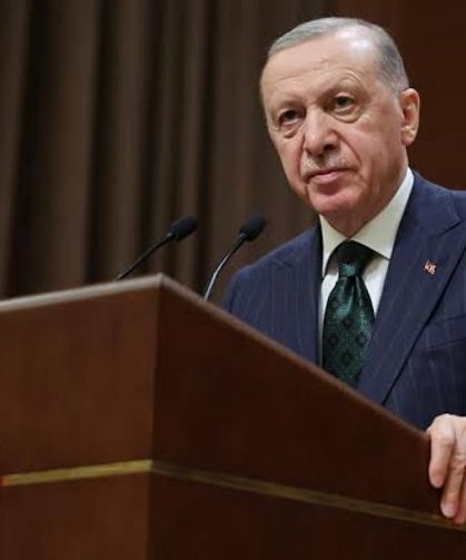Cumhurbaşkanı Erdoğan'dan orman yangınlarıyla ilgili açıklama
