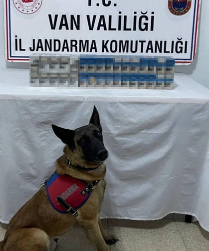 Van’da Kaçak Sigara Operasyonu: 8 Gözaltı, 1.778 Paket Ele Geçirildi