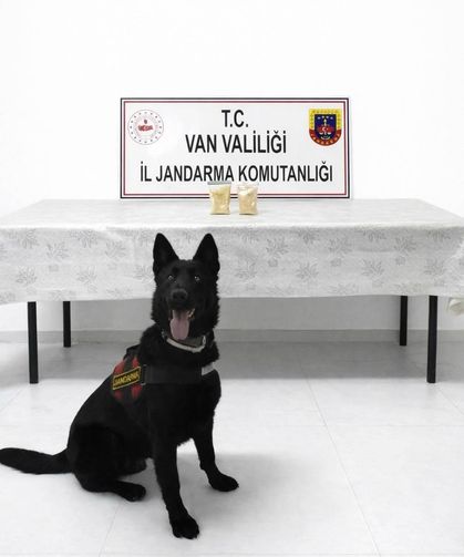 Van'da yol kontrolünde 510 gram eroin ele geçirildi