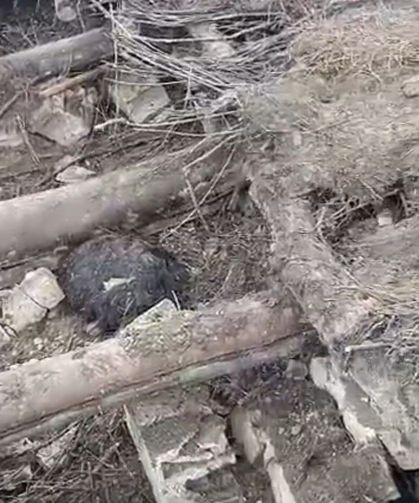 Van'da ahır çöktü: 20 küçükbaş hayvan göçük altında