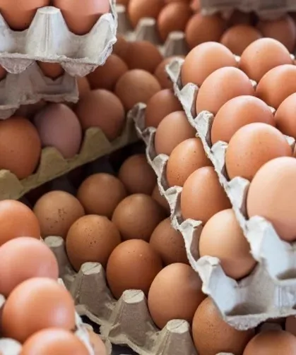 Yumurta fiyatlarında sert düşüş: 30’lu koli 100 TL’ye kadar geriledi