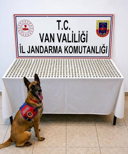 Van’da 8 İranlı’nın Midesinden 3 Kilo Esrar Çıktı