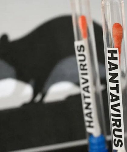 Sağlık Bakanlığı: Türkiye’de hantavirüs pozitif vakası tespit edilmedi