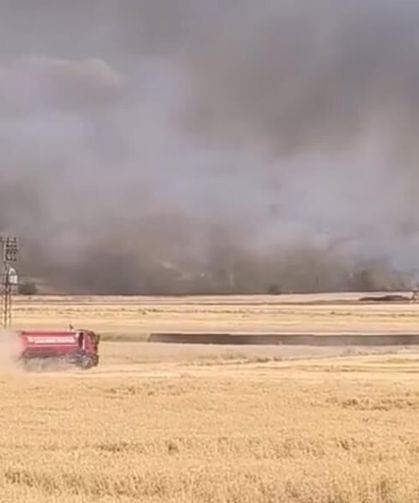 Diyarbakır'da buğday tarlası yangını: 30 dönüm kül oldu