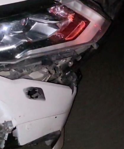 Elazığ'da otomobil domuz sürüsüne çarptı: 2 domuz telef oldu