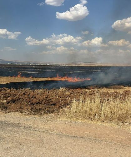 Mardin'de 8 noktada yangın: Yüzlerce dönüm alan zarar gördü
