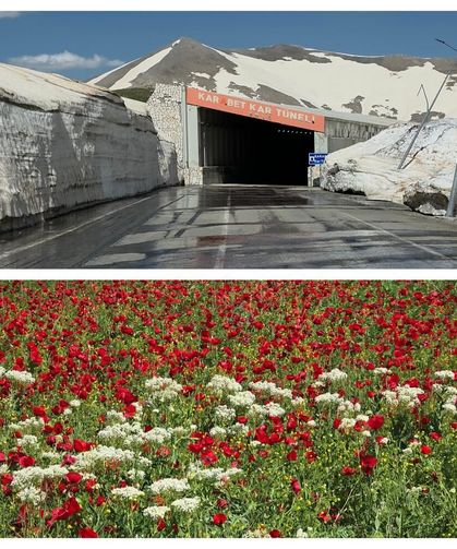 Van'da aynı gün iki mevsim: Ovada yaz; Karabet'te kış