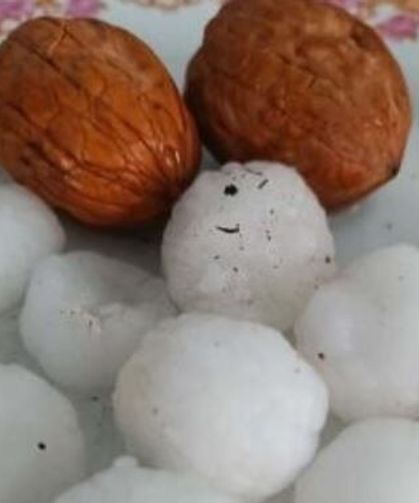 Van’da haziran ayında ceviz büyüklüğünde dolu etkili oldu