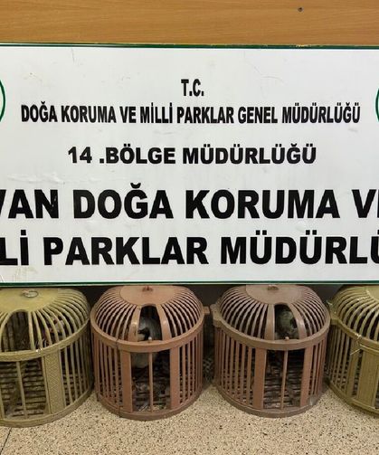 Van'da yasa dışı avcılığa 51 bin TL ceza