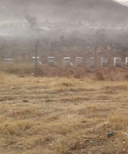 Bingöl’de 25 arı kovanı küle döndü