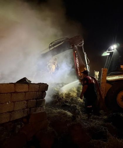 Iğdır’da 2 bin balyanın bulunduğu alanda yangın çıktı