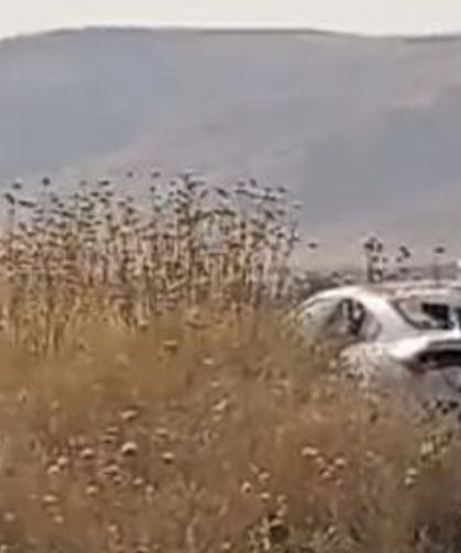 Mardin'de otomobil tarlaya uçtu: 4 yaralı