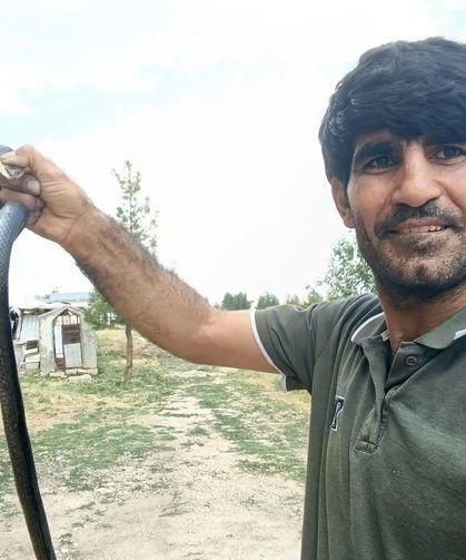 Siirt'te evine giren yılanı eliyle yakaladı