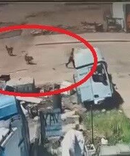 Sokak köpeklerinin saldırdığı çocuğu, babası ve amcası kurtardı