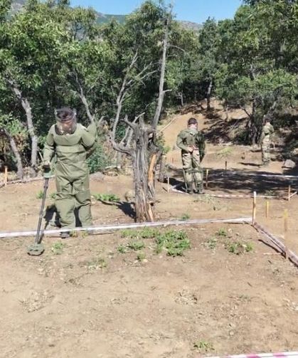 Tunceli'de mayınlı alanlar temizlenerek tarıma kazandırılıyor