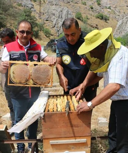 Erzincan'da bu yıl bin 500 ton bal bekleniyor