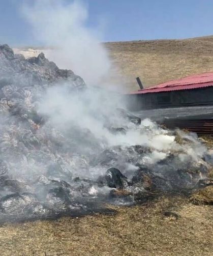 Kars'ta çiftçinin bir yıllık emeği kül oldu