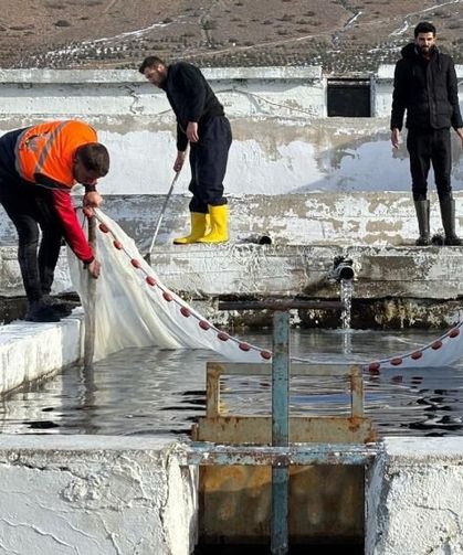 Erzincan'dan 18 ülkeye somon gidiyor