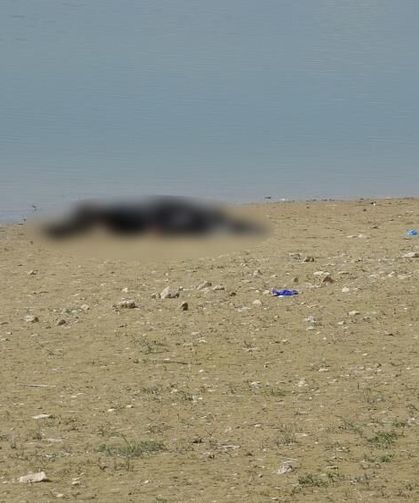 Gölette erkek cesed! bulundu, Piknik yapan vatandaşlar fark etti