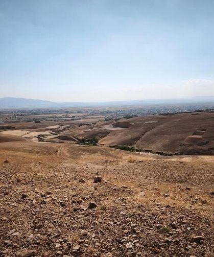 Şırnak'ta "Yeşil Silopi" hamlesi: Ağaçlandırma yapılacak alan belirlendi