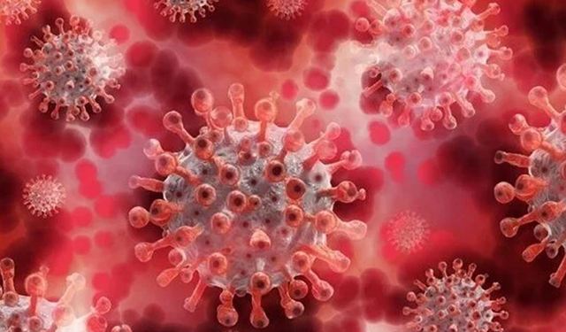 Maymun Çiçeği (Mpox) virüsü nedir, hangi yollarla bulaşır? İlk ölüm olayı gerçekleşti!